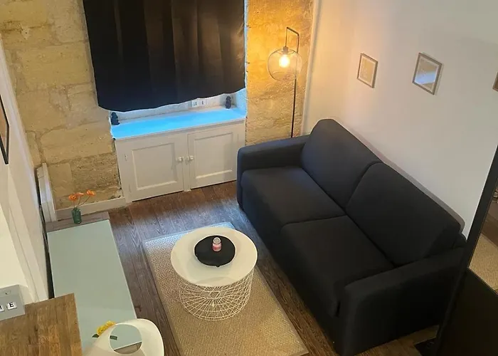 Bel Avec Mezzanine En Plein Centre De Apartmán